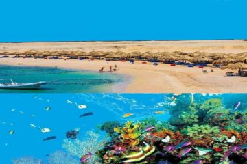 Sharm el Naga – Rezerwat przyrody z Hurghady