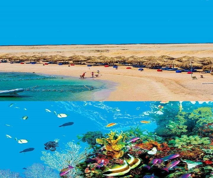 Sharm el Naga – Rezerwat przyrody z Hurghady