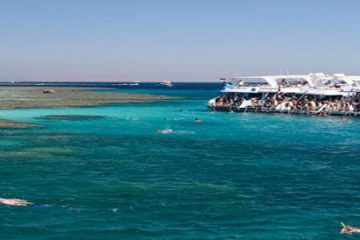 Snorkeling langa Insula Tiran din Sharm el Sheikh