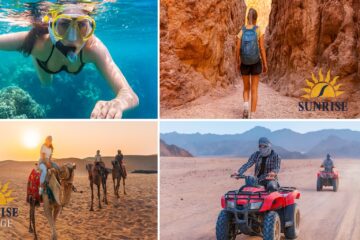 Экскурсия Дискавери 5 в 1 — Золотой Дахаб из Шарм-эль-Шейха