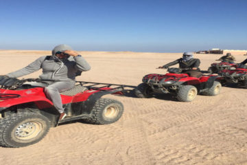 3-Hour Morning Quad Safari from Sharm el sheikh