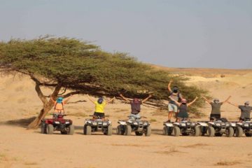 Private 3-Hour Morning Quad Safari and Camel ride from Sharm el sheikh