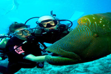 Shore Diving in Sharm el sheikh