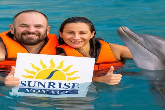 Swim with Dolphins in Hurghada – Interactive Dolphin Experience