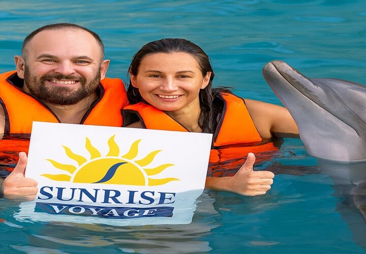 Swim with Dolphins in Hurghada – Interactive Dolphin Experience
