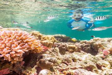 Utopia Island from Hurghada