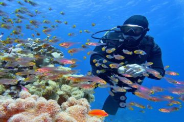 Гмуркане на брега в Шарм Ел Шейх